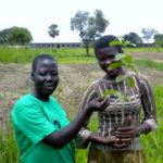 Transplanting and planting.