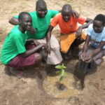 Learning to nurture and grow a plant.